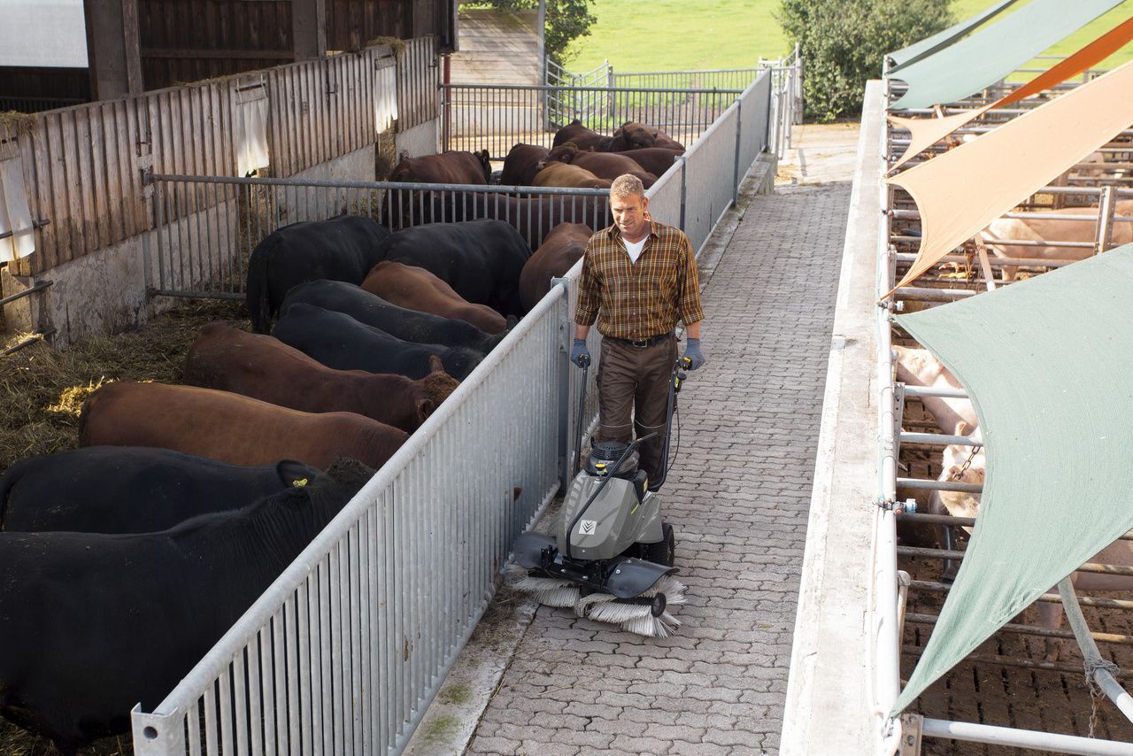 Regular cleaning of pathways