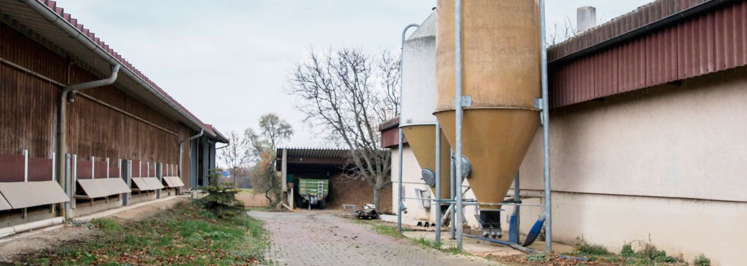 Advanatages of hot water high-pressure cleaners