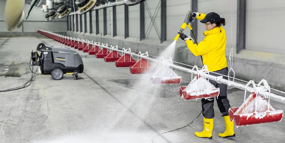 Cleaning the chicken coop