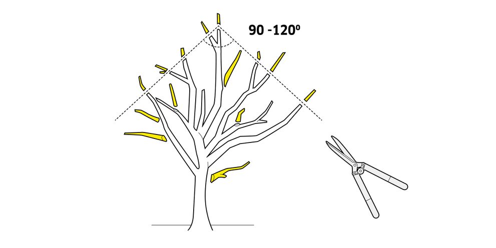 Kärcher tips for yield cutting