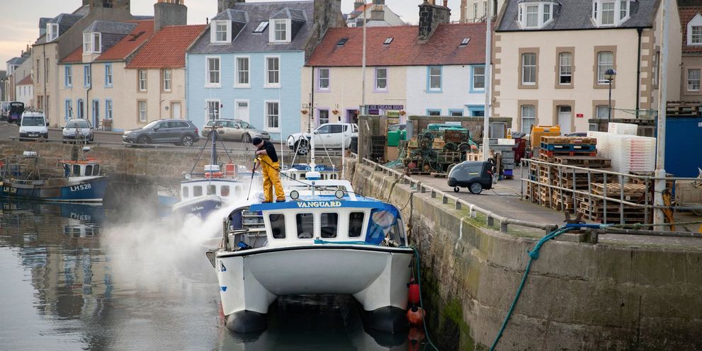 Cleaning in commercial fishing