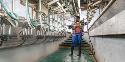 high pressure cleaner used in a milk parlor