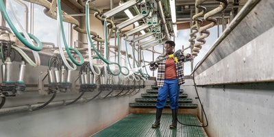 Person cleaning a milking parlour with a high pressure cleaner