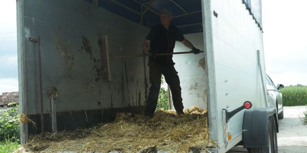 Cleaning the livestock trailer interior: removing loose dirt