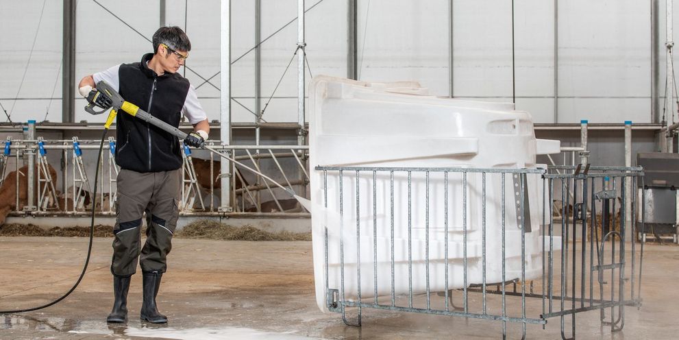 Cleaning a calf enclosure with a Kärcher pressure washer