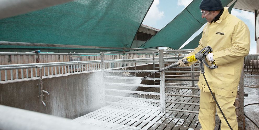 Preventing foot-and-mouth disease through cleaning