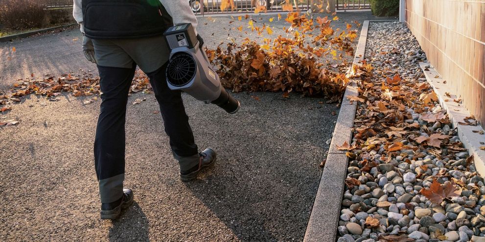Removing leaves in autumn