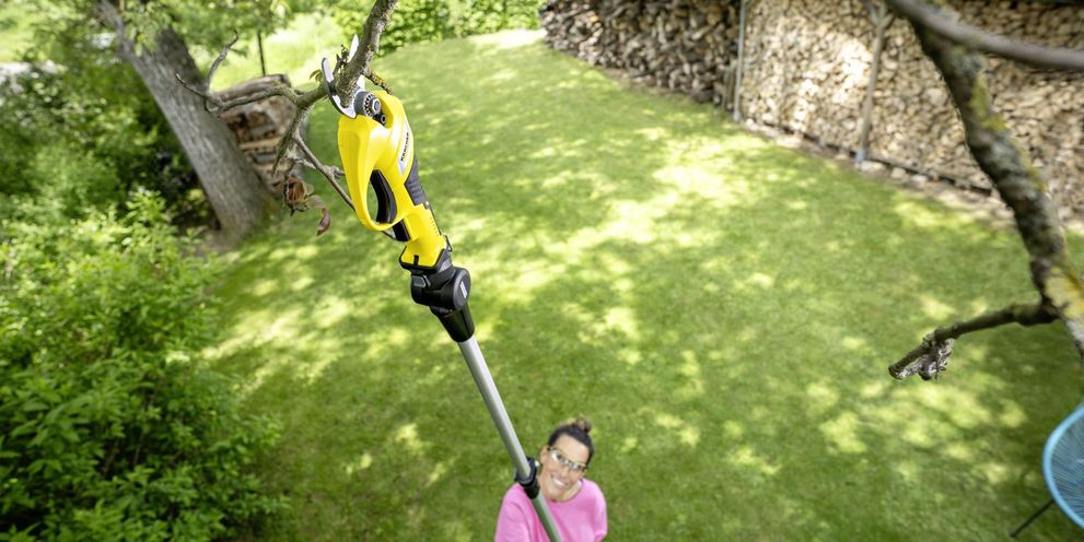 Cutting limbs with a Kärcher battery tree lopper
