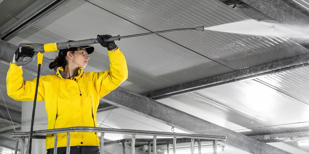 Preventing avian flu through cleaning