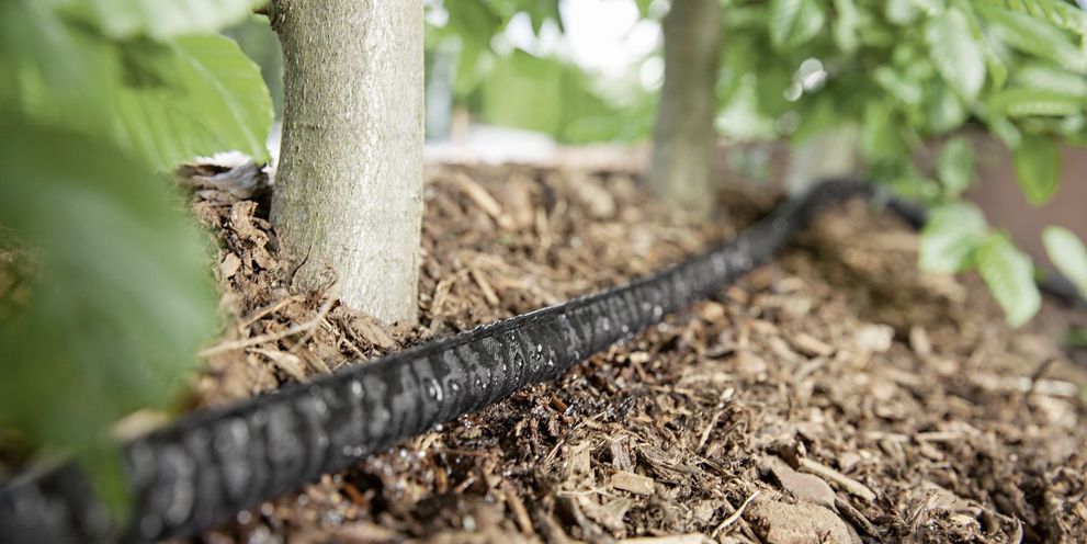 Bewässerung Tropfschlauch Tropfbewässerung