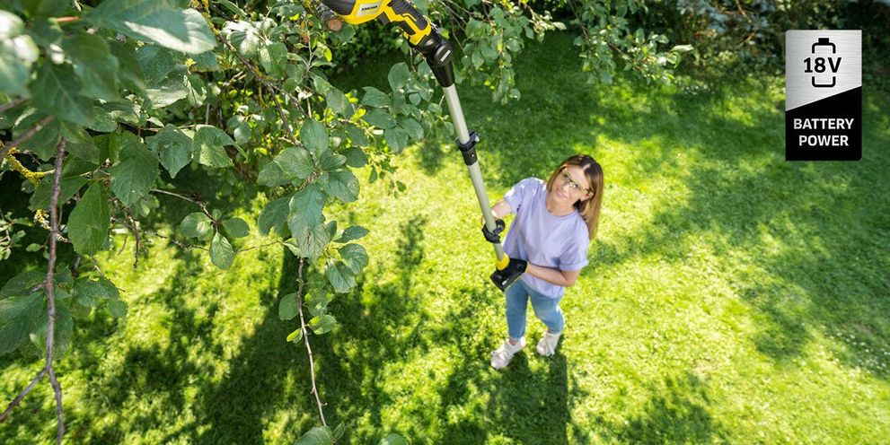 Woman cutting branch with the battery tree lopper