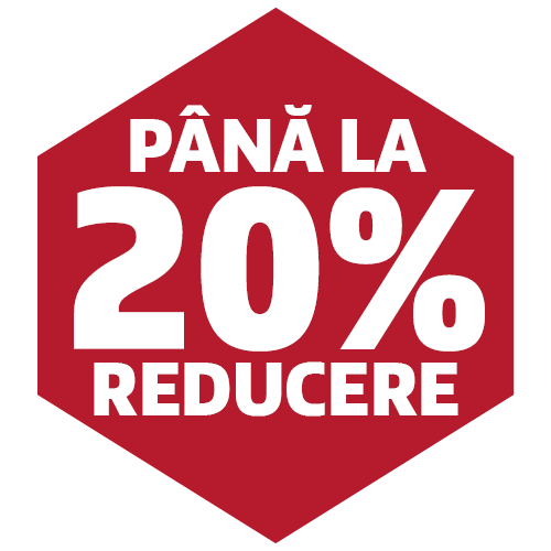 icon 20