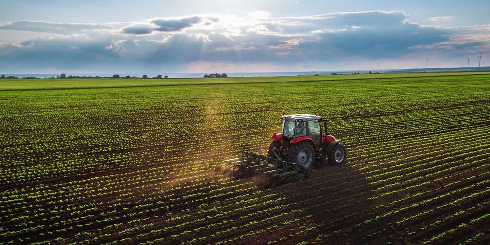 Cultivarea fructelor și legumelor