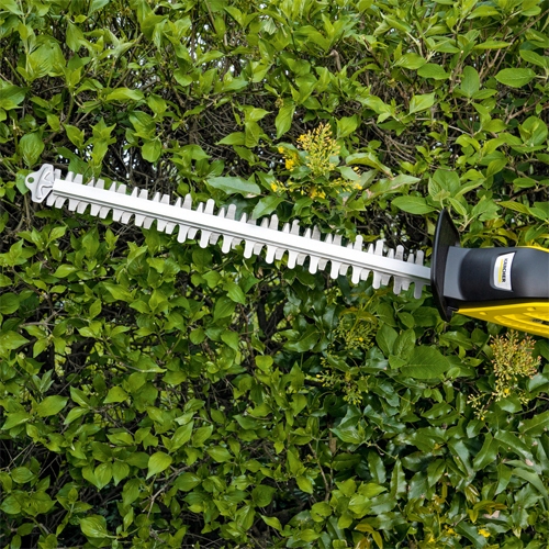 Trimming hedges with the pole hedge trimmer