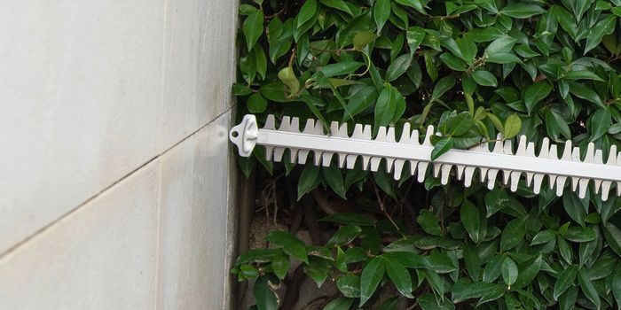 Battery hedge trimmer close to a hedge