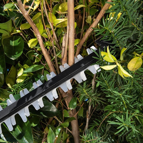 Cutting a thick branch with the hedge trimmer