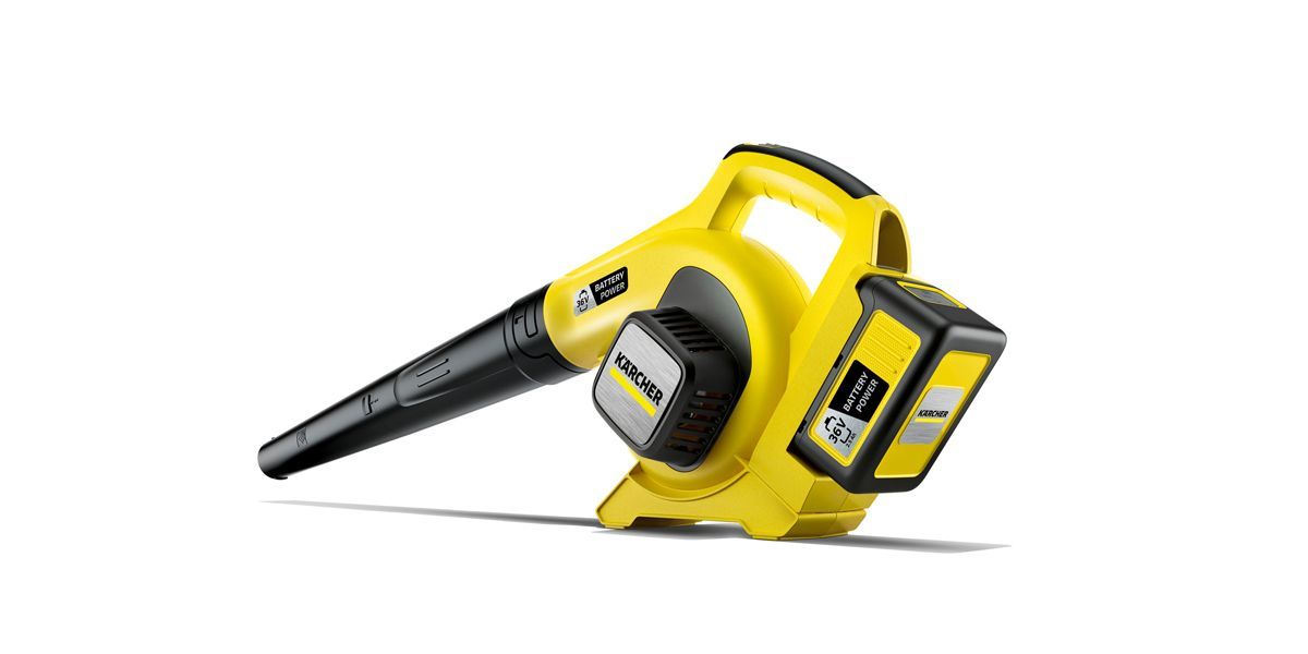 Leaf blower