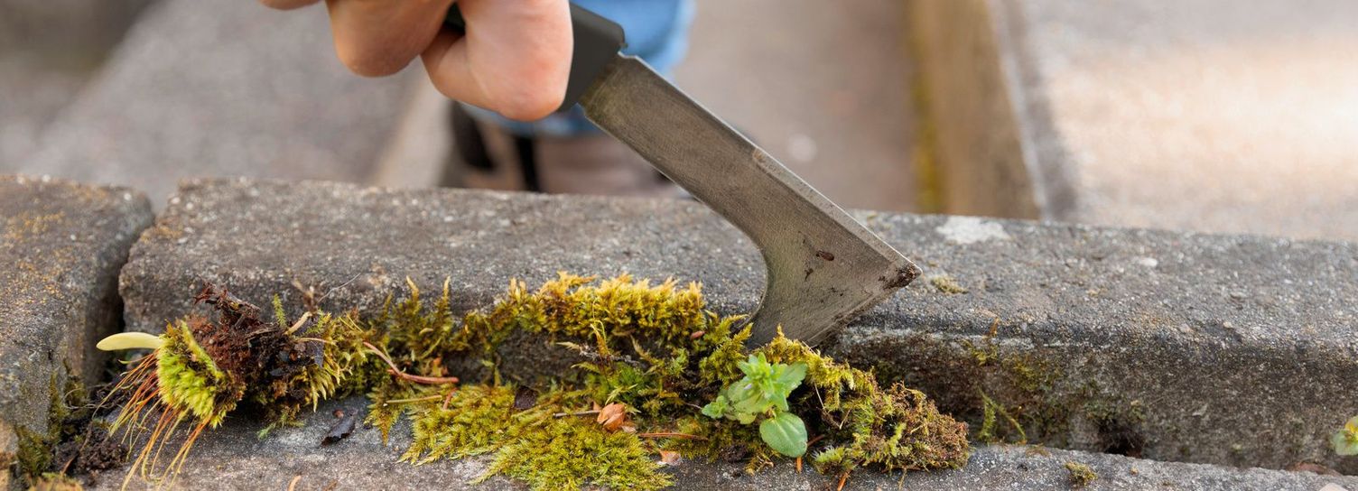Remove moss by hand with a joint scraper