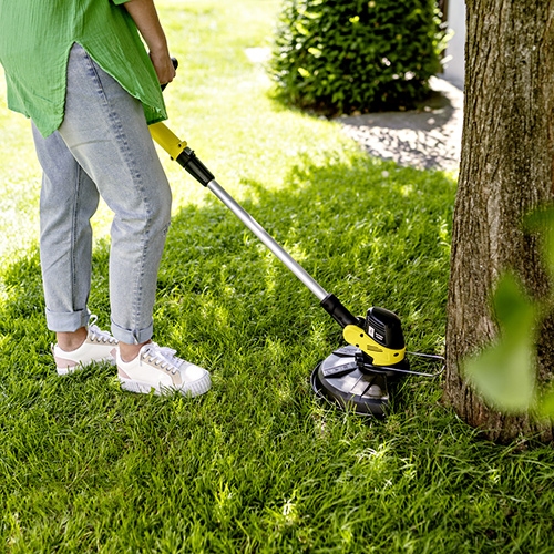 Trimming alongside a tree with the lawn trimmer