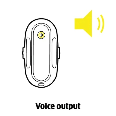 RCW 2 Voice output
