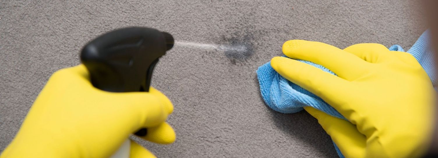 Remove stains from the carpet using a universal stain remover Kärcher tip: Remove stains from the carpet using a detergent