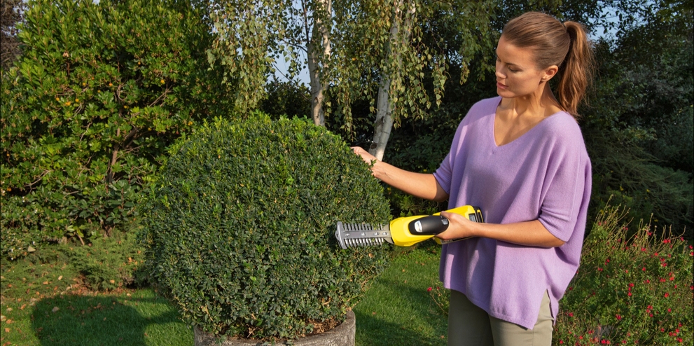 GSH grass und bushes GSH grass und bushes