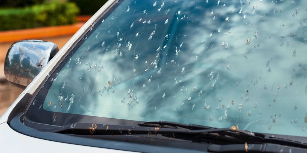 Insect residue on the windshield insect residue remains on windshield