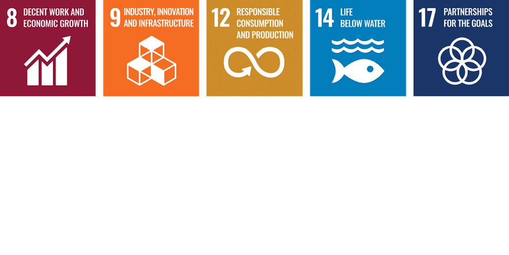 Reduce, Reuse, Recycle SDGs