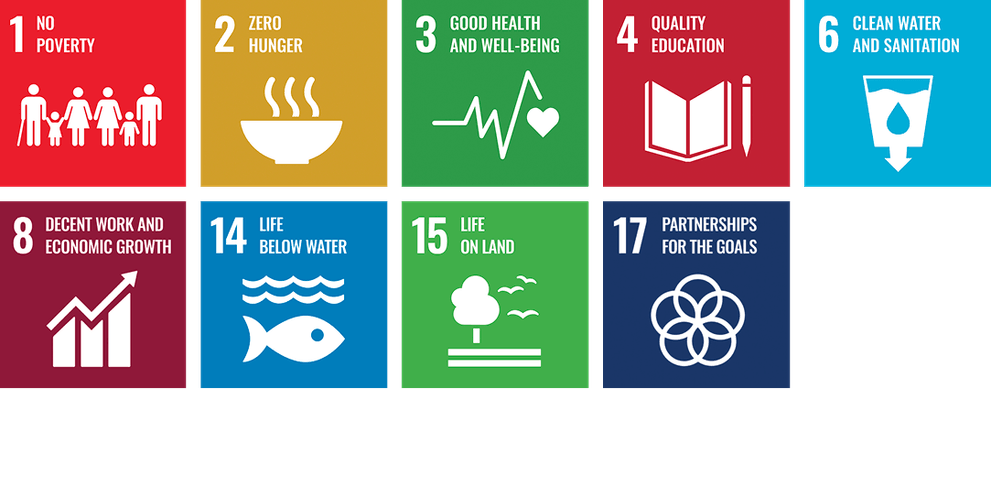 Social Hero SDGs