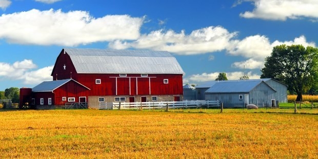 A red barn sits in the distance under a blue sky.