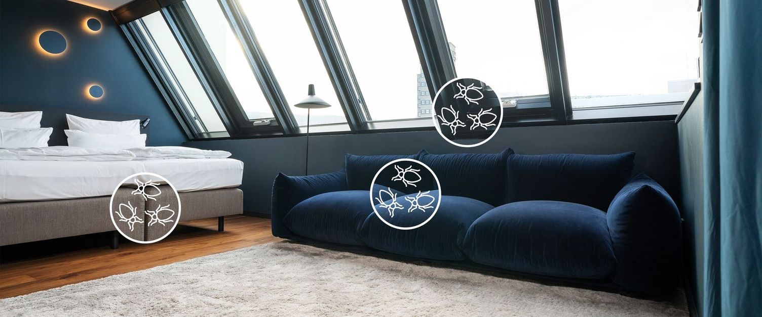 A photo shows a high-end hotel room with callout graphics showing where bedbugs can often reside.