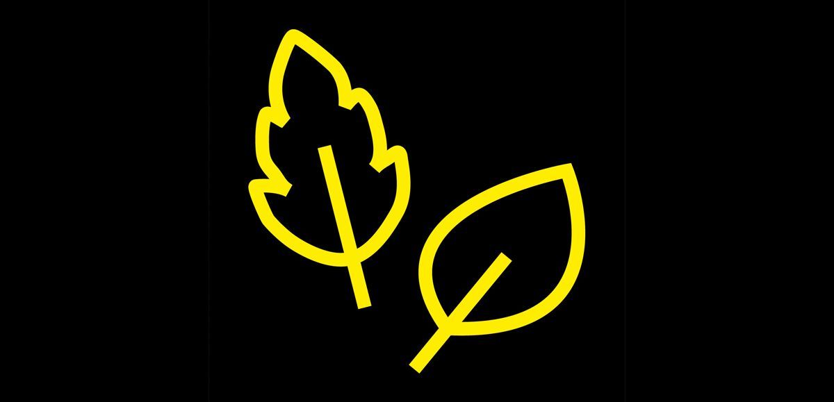 Leaves Pictogram of leaves