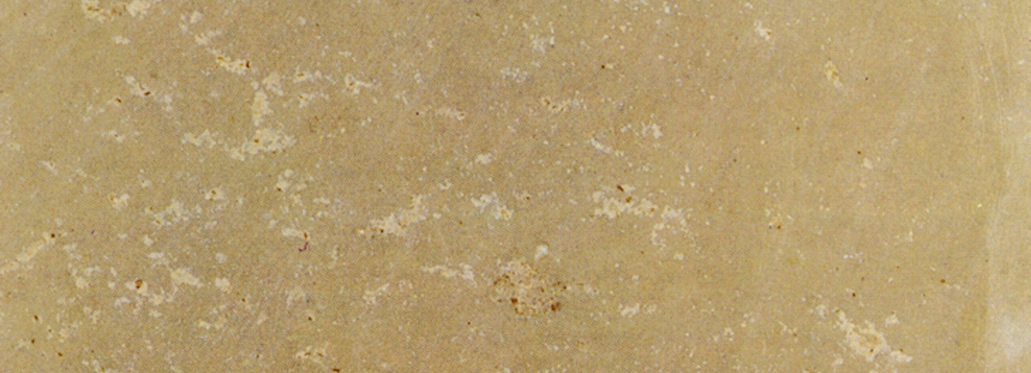 Close-up view of a Jurassic and Solnhofen limestone surface