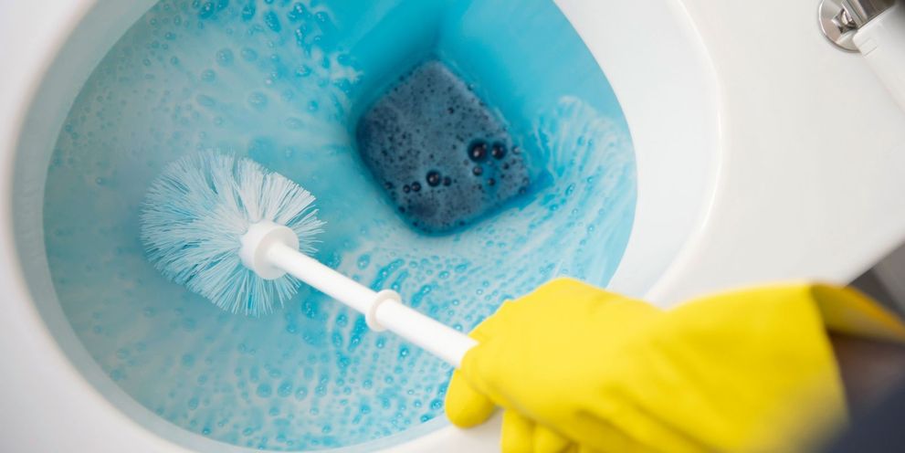 Cleaning the toilet with detergent and a brush Kärcher tip: Cleaning the toilet with detergent and a brush