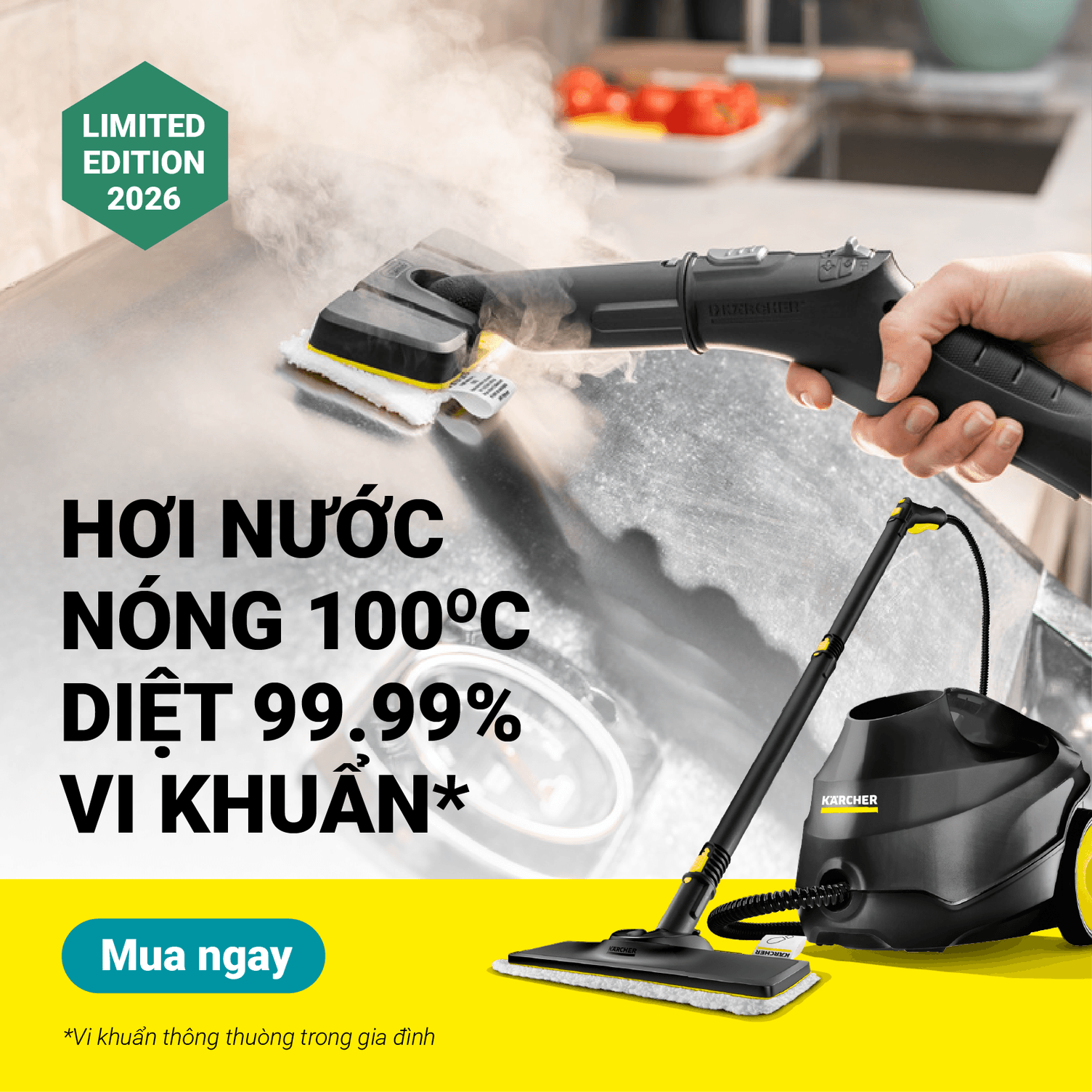 medium Untitled 1 06
