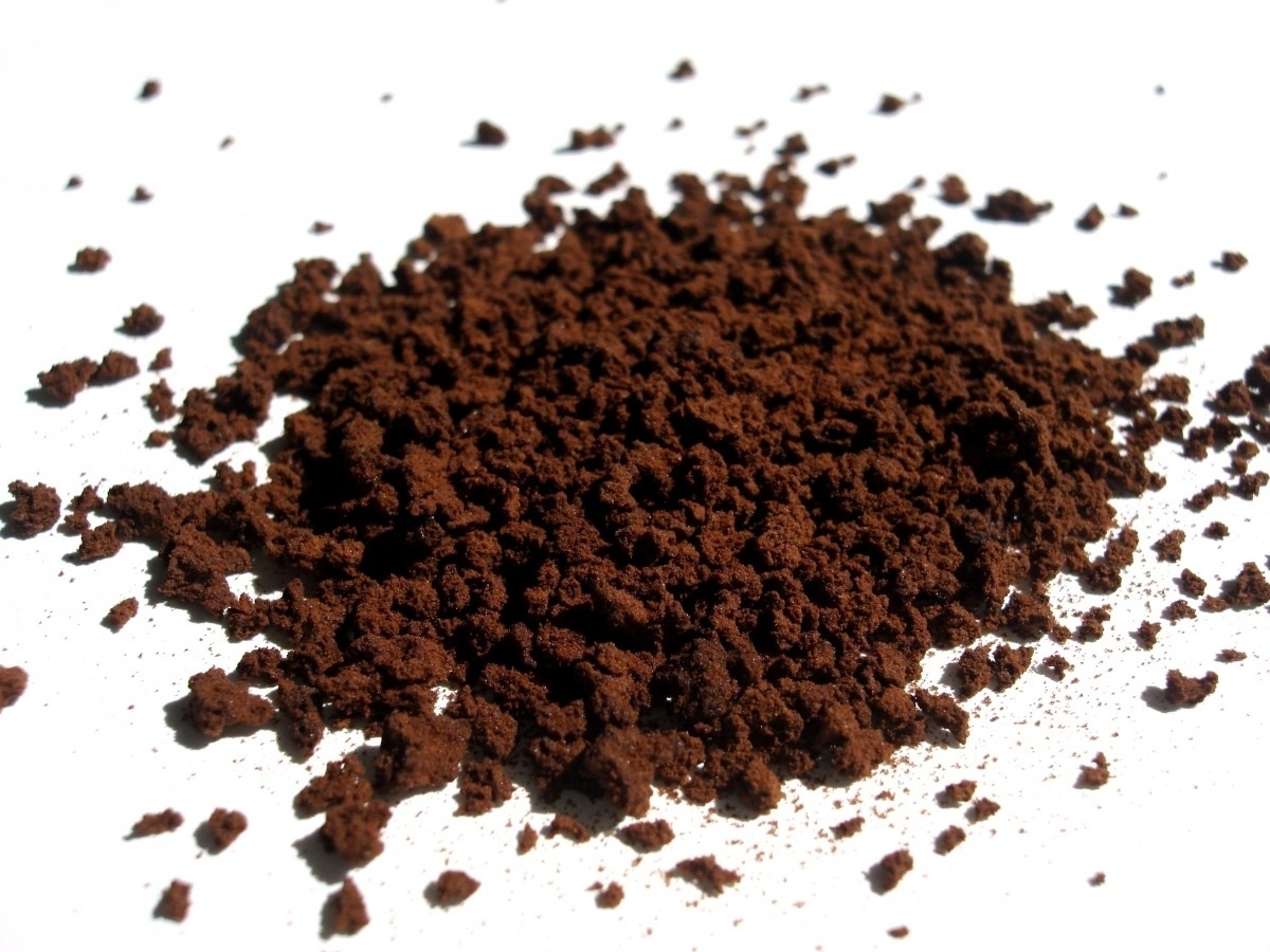 cách diệt gián tận gốc