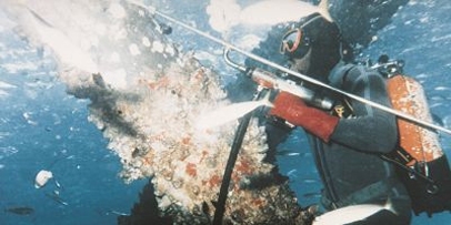 woma_offshore2