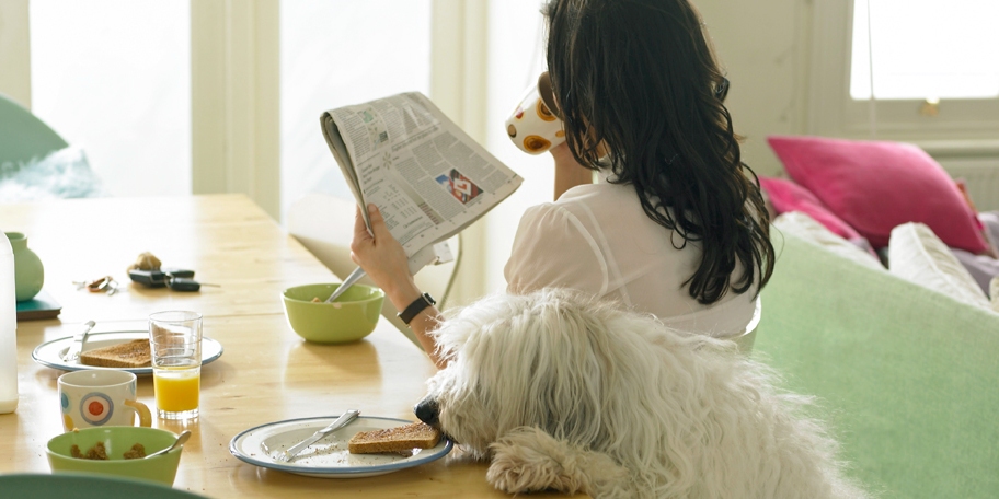 Mẹo làm sạch nhà khi có vật nuôi Mẹo làm sạch nhà khi có vật nuôi