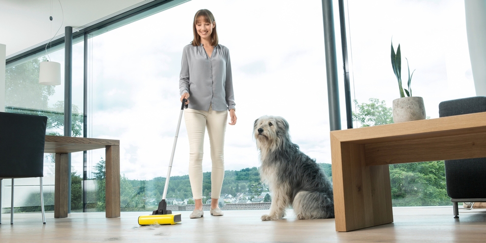 Mẹo Kärcher giúp vệ sinh cho nhà có thú cưng