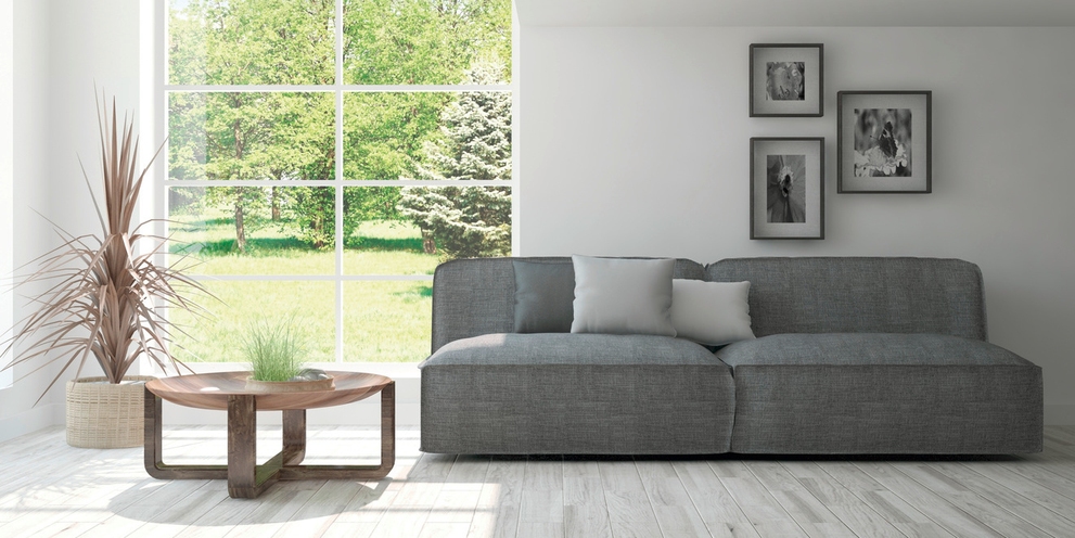 Sofa living room